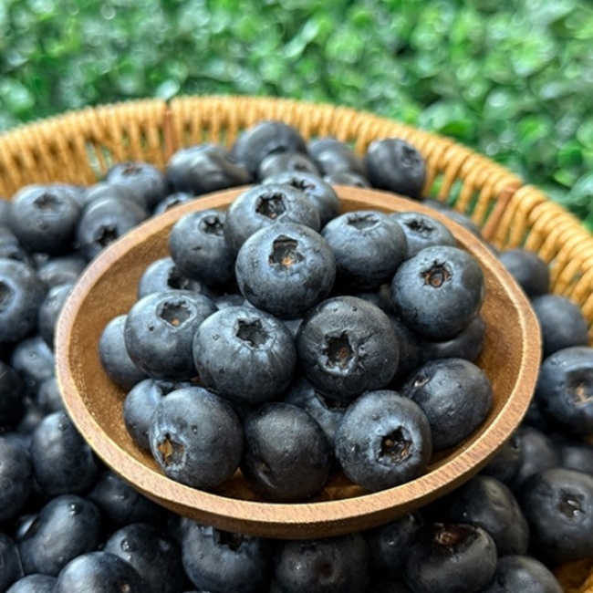 신선직송 밀양 하우스 햇 블루베리 100g-500g