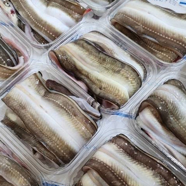 ★주말특가★고소하고 담백한 남해 바다장어 1kg 소스 2팩포함