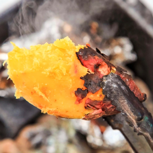 산지직배송 해남 꿀밤고구마 (한입/중상/특상/왕대) 3kg/5kg/10kg