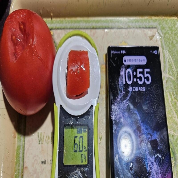 ★신선위크★ 완숙토마토 2kg 5kg 실속형 혼합과