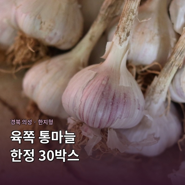 (농할) [산지직송/한정수량] 의성 통마늘 (중) 3kg