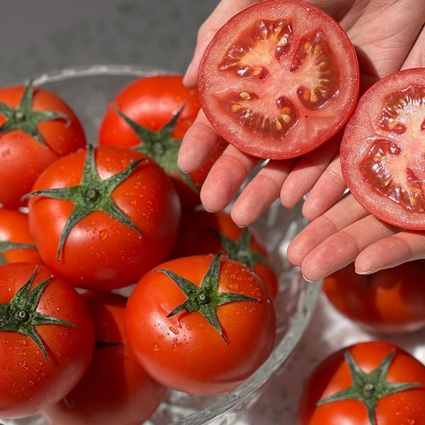 산지직배송 고당도 완숙토마토 2kg/3kg/5kg