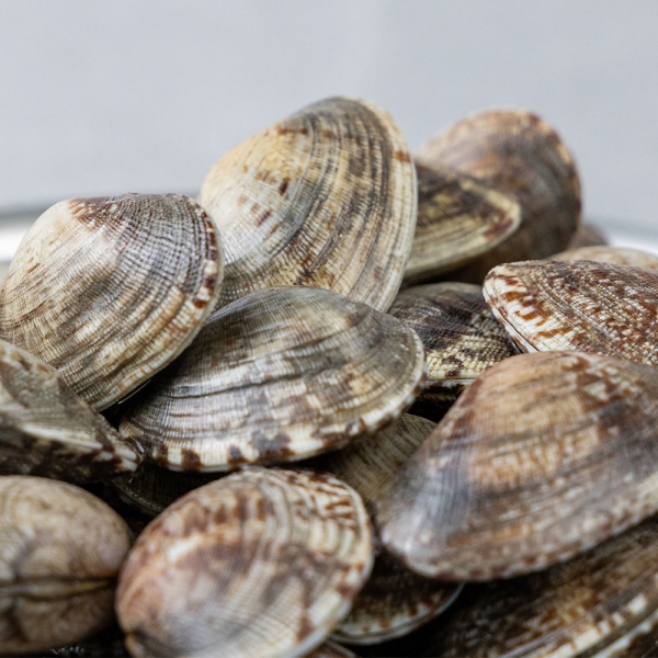 ★주말특가★ [아침애딴] 신선함 가득 프리미엄 활 바지락 1kg 2kg 3kg