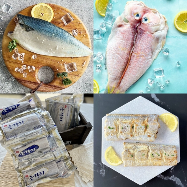 [제주수산]고등어대 5팩+제주참옥돔(200g)1마리+은갈치(250g)2마리 혼합세트