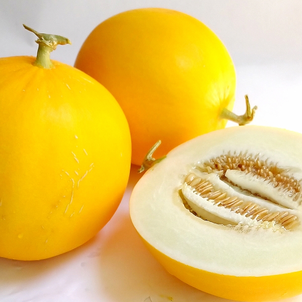 [산지직송] 고령 양구 멜론 메론 3kg 5kg