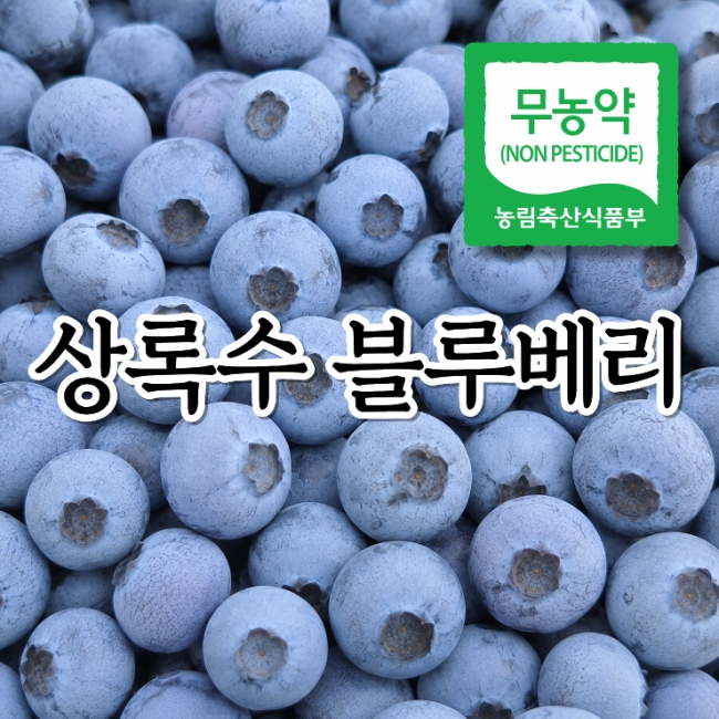 국내산 무농약 생블루베리 1kg (6월22일부터 출고)