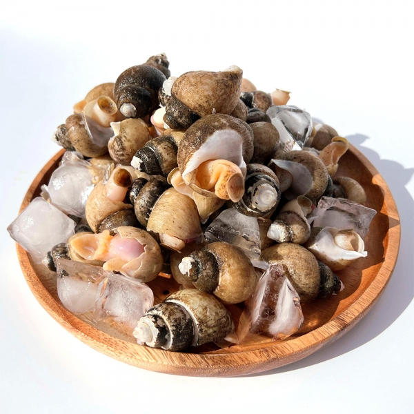 ★타임세일★ 동해안 자연산 흑골뱅이 대 400g