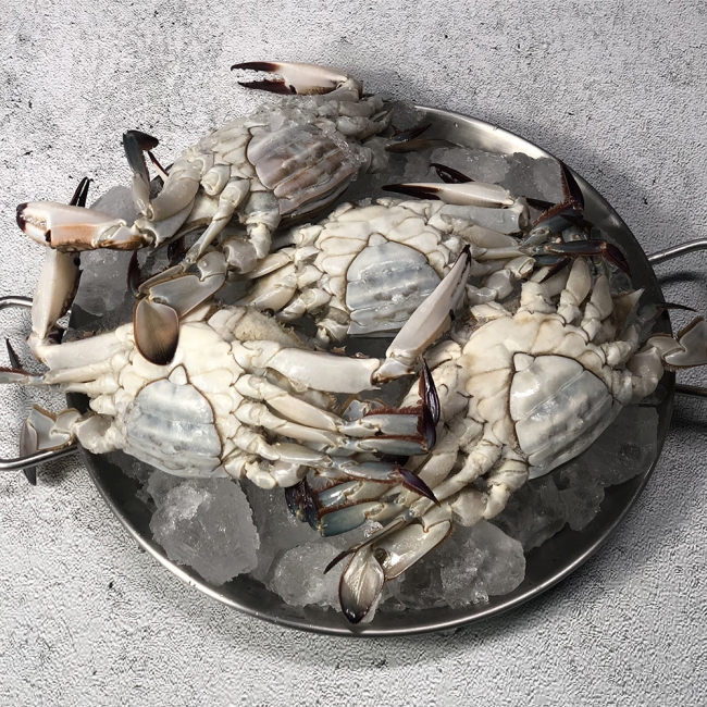 산지직배송 국내산 활 암꽃게 1kg 4-6미