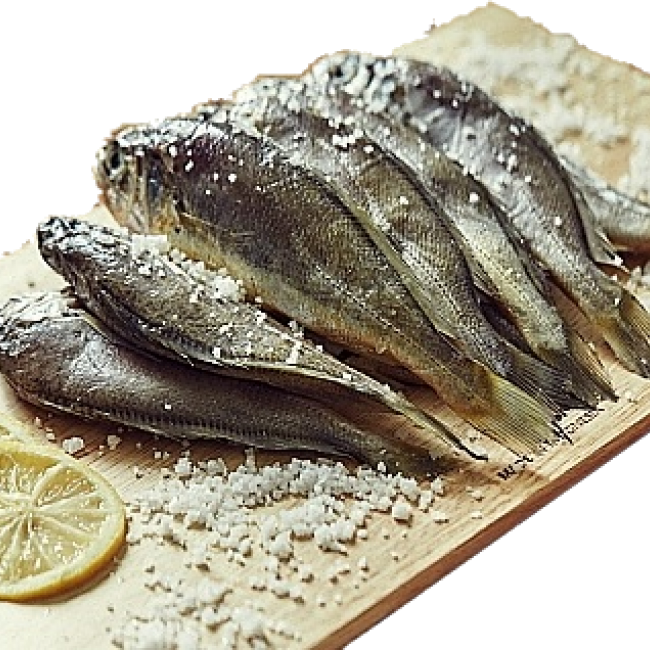 청정제주 참굴비 600g/700g이상