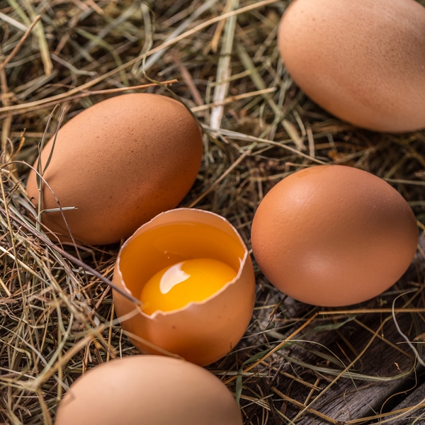 ★신선위크★ [원천오복] 자연방사 1번난각 동물복지 2번난각 신선 계란 20구 30구 40구 60구