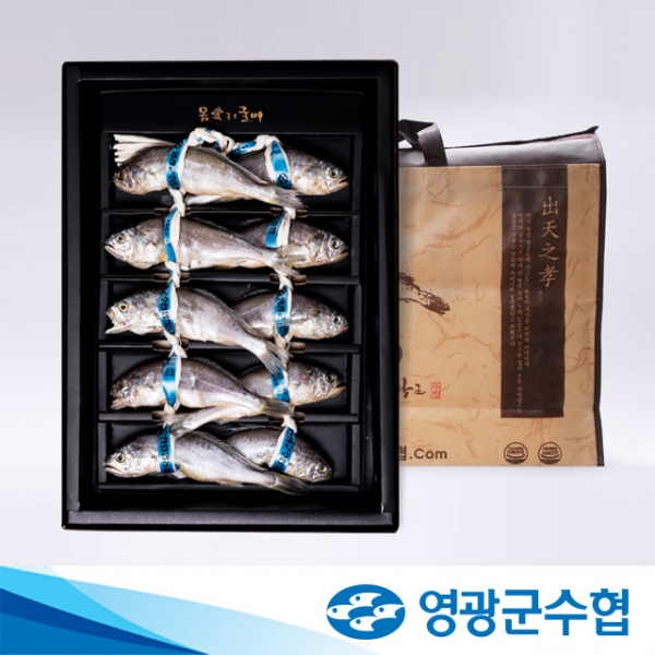 ★신선위크★[영광군수협] 법성포 선물용 명품 굴비 10미