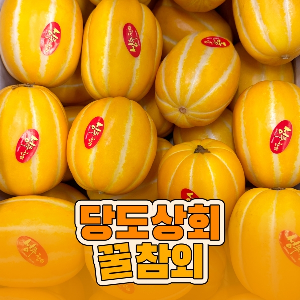  [15브릭스 보장] 당도상회 성주 참외 고당도 산지직송 꿀참외 1.5kg/3kg/5kg