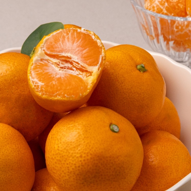 [청년농가]고당도 프리미엄 타이벡 감귤 로얄과 3kg/5kg