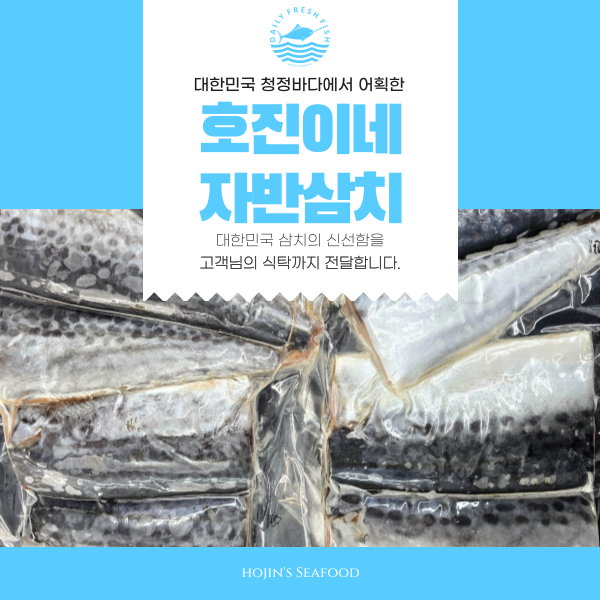 ★신선위크★ 100% 수작업 손질 호진이네 국내산 자반 삼치 손질삼치 大 1마리~4마리