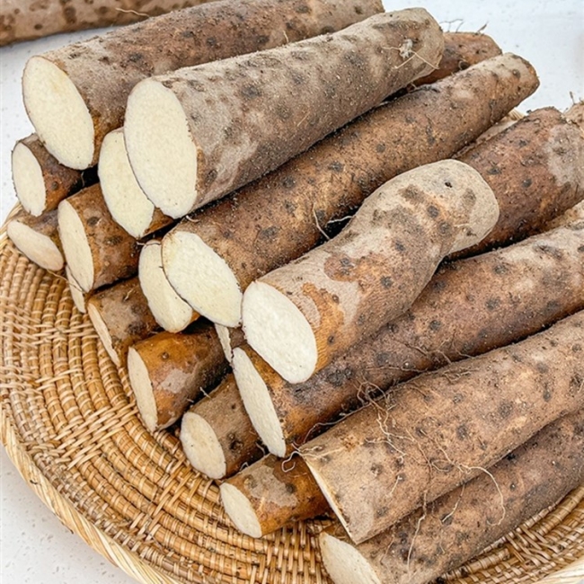 [청년농가]안동 산마 장마 1kg