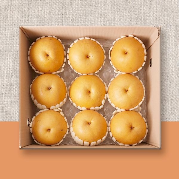 [푸른농원]나주 신고배 가정용 5kg 6-13과