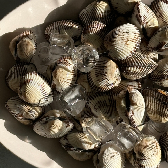 산지직배송 국내산 새꼬막 3kg/6kg