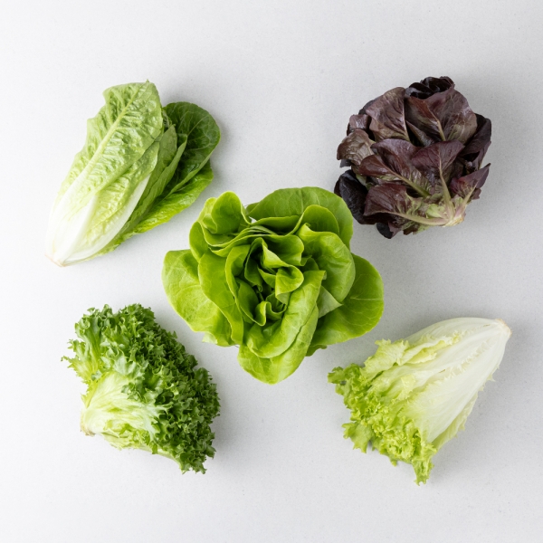 ★주말특가★ [아침애딴] 당일수확 유러피안 쌈채소 샐러드 3종 혼합 800g 1kg