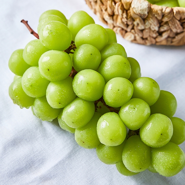 농부마음 샤인머스켓 1kg/2kg