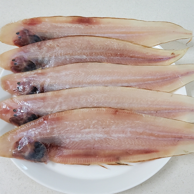 바다맛집 반건조 박대 특대 사이즈 10미(골드 트레이)