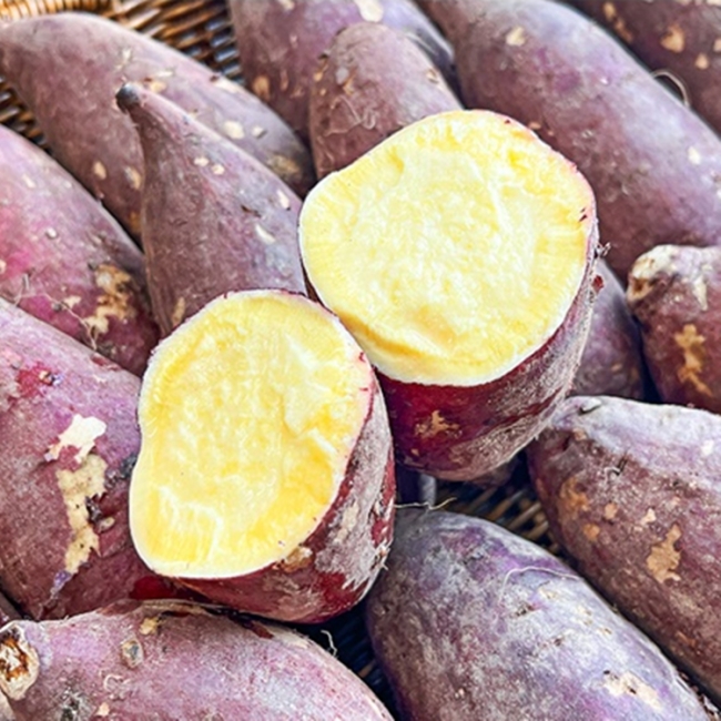 [청년농가]세척 베니하루카 꿀밤고구마 3kg/5kg/10kg