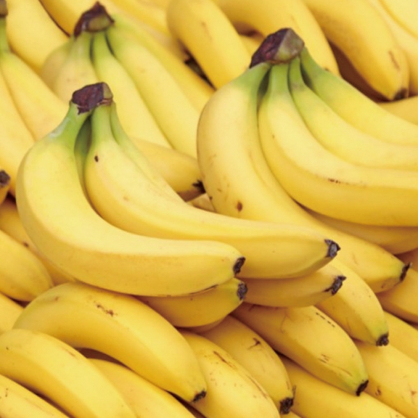 ★주말특가★ [명일] 수입산 고당도 바나나 정품 정발 1송이 2송이 3송이