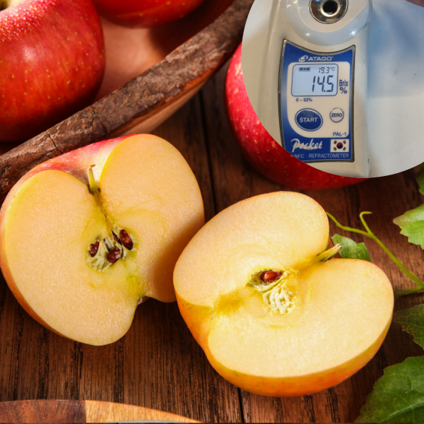 ★주말특가★ 14brix 고당도 부사 사과 1.4kg, 2kg, 4kg/정품,가정용 선택[리뷰이벤트중]