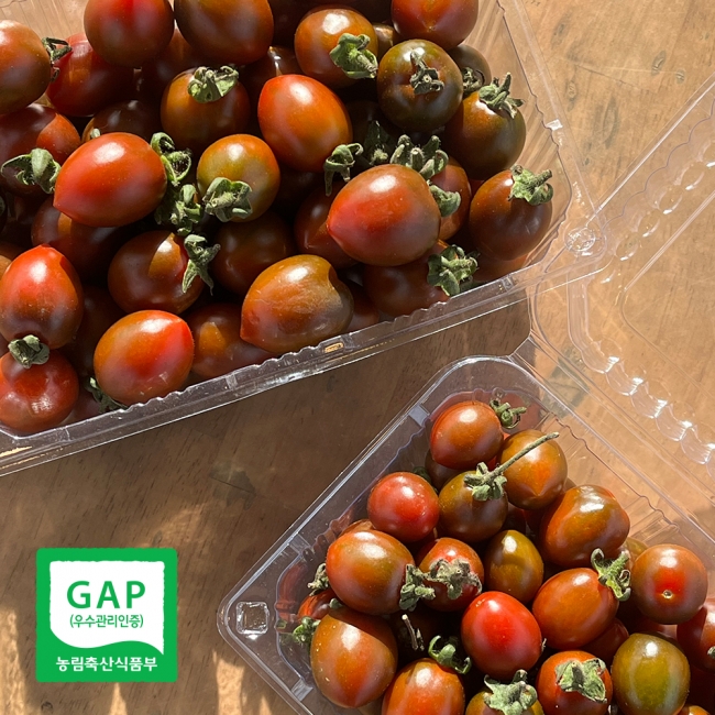 산지직배송 흑대추방울토마토 500g-3kg