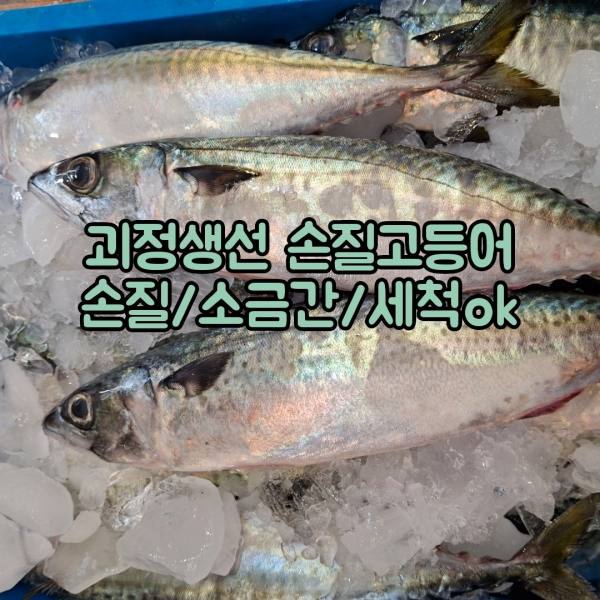 제철 국내산 손질 고등어(6팩/10팩)