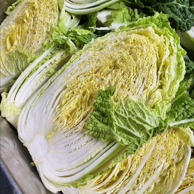 [산앤들] 국내산 통배추 (1포기 1.8kg~2.5kg 내외)