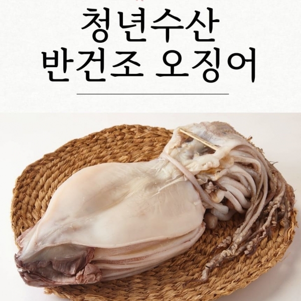 [산앤들]산지직송 반건조 오징어 5미250g/350g450g/550g