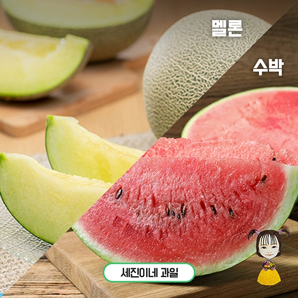 ★타임세일★[착한가격]세진이네 과일 맛있는 B 품/정품 수박(Watermelon)/멜론(Melon)