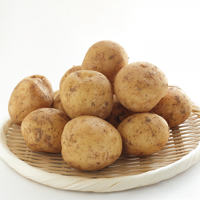 농가직송 2026년 햇감자 1kg/3kg/5kg/10kg