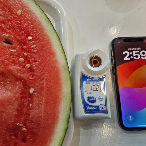 ★리뷰이벤트★ 시원하고 달달한 고당도 수박 7kg 1통 11~12BRIX