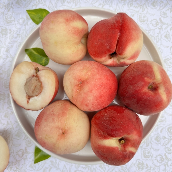 [다솜] 아삭 달콤 딱딱이 경봉 털복숭아 1kg/2kg/4kg 내외