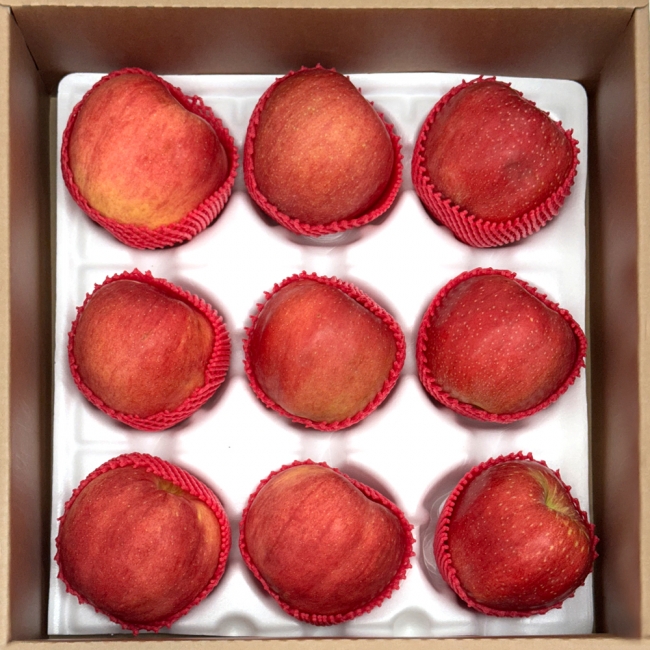 산지직배송 프리미엄 저탄소 과일선물세트