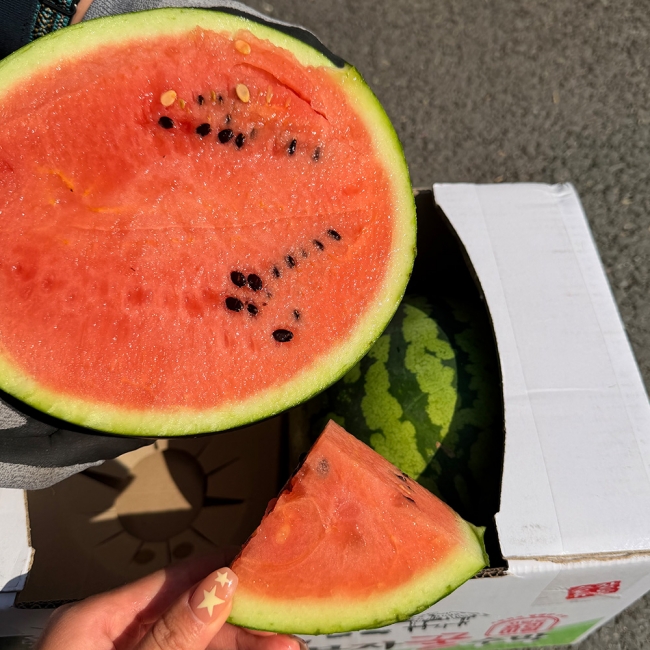 산지직배송 하우스수박 4kg/5kg/6kg