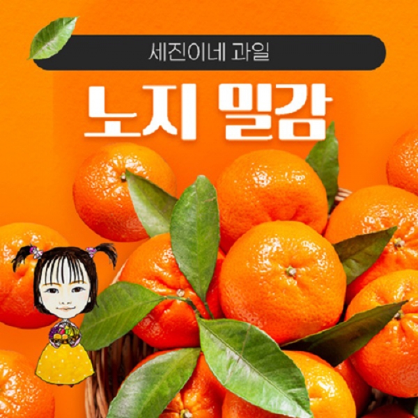 [착한가격] 세진이네 과일 조생 감귤 5kg