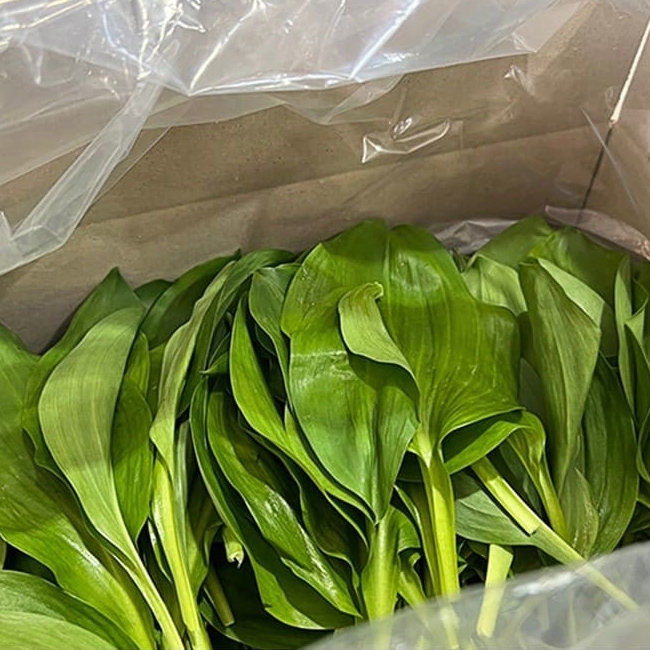 [산앤들]홍천 비법간장 명이나물 장아찌 500g/800g/1kg