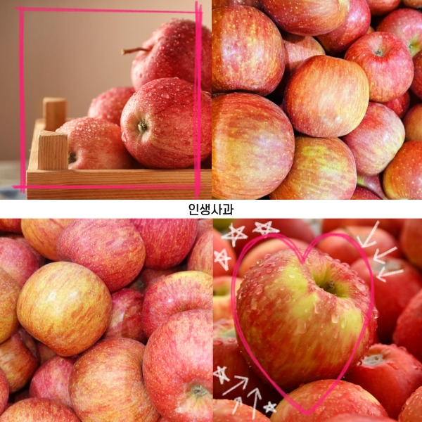 14brix 고당도 사과 1.4kg, 2kg, 4kg