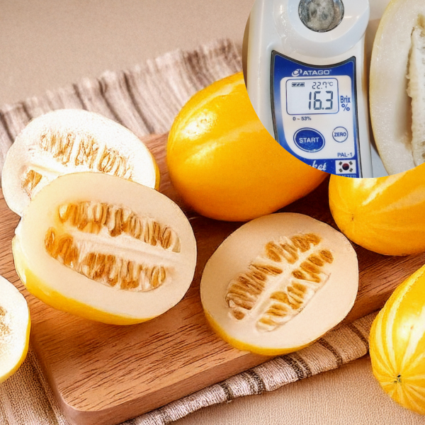 ★주말특가★ 달콤한 성주 참외 2kg, 4kg[리뷰이벤트중]