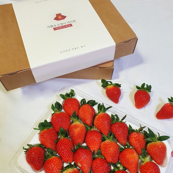 ★신선위크★ [농장직송] 달콤 토경 설향 딸기 750g 1kg 내외