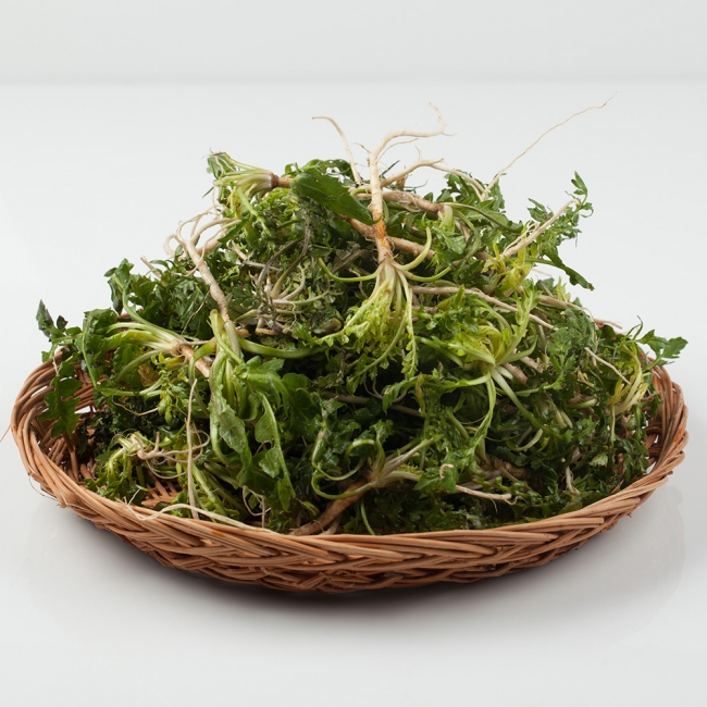 산지직배송 남해 세척냉이 500g/1kg/2kg