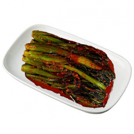 전라도 해남 갓김치 2kg/5kg