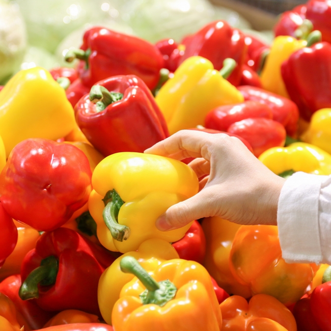 산지직배송 못난이 파프리카 노랑/빨강 1kg