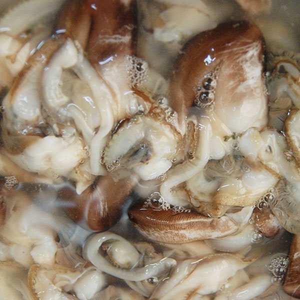 ★신선위크★ 당일조업 청정 여수 새조개 손질 후 실중량 200g