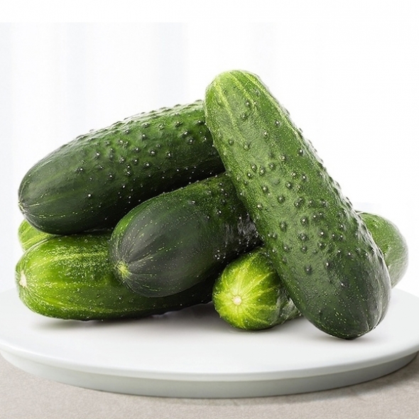 국내산 미니오이 500g/1kg/2kg 피클용 미니오이