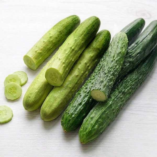☆특품☆ 국산 백오이 가시오이 백다다기 취청오이 1kg 2kg 3kg 5kg 10kg