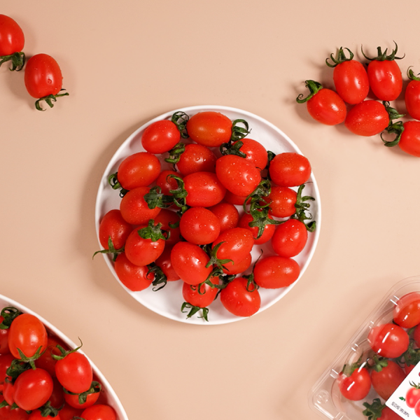 [유수담] 달콤하고 신선한 스테비아 토마토 1kg 2kg