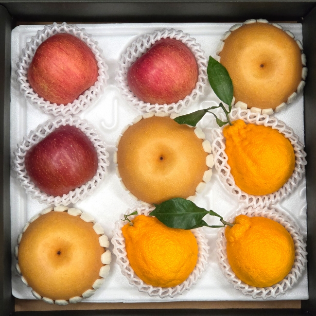 산지직배송 프리미엄 저탄소 과일선물세트